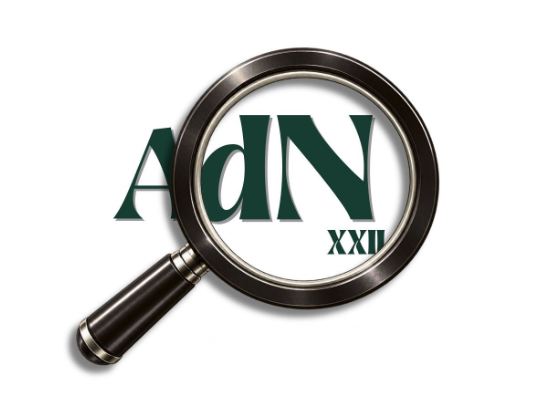 FESTIVAL DE CORTOS AdN