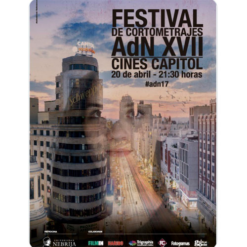 FESTIVAL DE CORTOS AdN