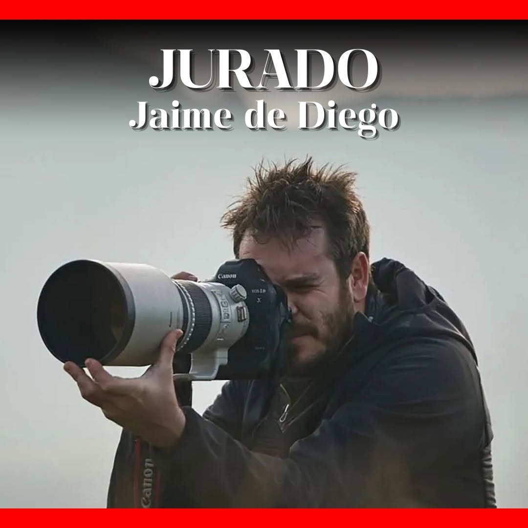 Jaime de Diego